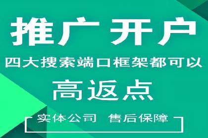 关键词竞价排名实战案例深度解析
